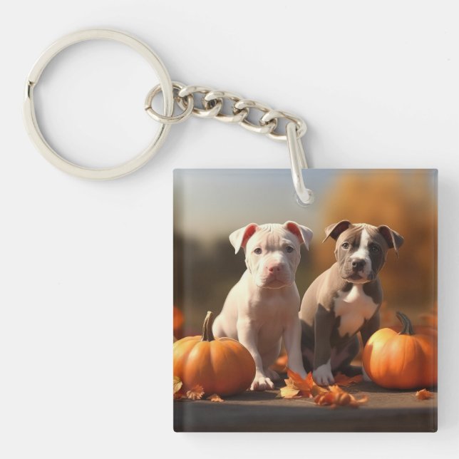 Pitbull Valp Höstglädje Pumpa (Framsidan)