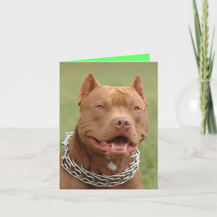 Pitbull Valp Hund Blank Notkort Kort