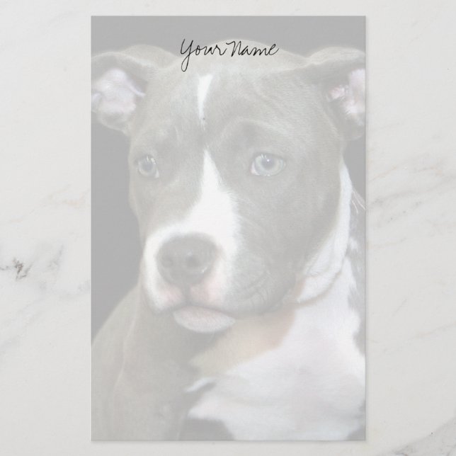 Pitbull-valp stillastående brevpapper (Framsida)