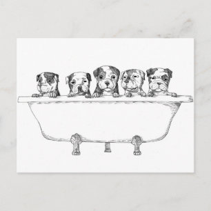 Pitbull-valpar i Tub - illustration Vykort