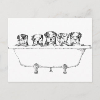 Pitbull-valpar i Tub - illustration Vykort