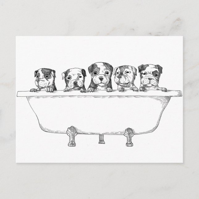 Pitbull-valpar i Tub - illustration Vykort (Framsida)