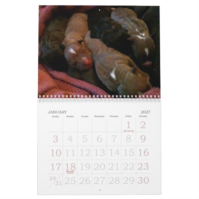 Pitbull valpar växer upp kalendern kalender (Jan 2027)