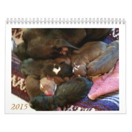 Pitbull valpar växer upp kalendern kalender