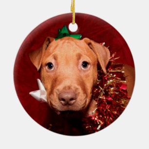 Pitbull valpjul julgransprydnad keramik