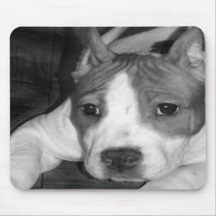 Pitbull valpmousepad musmatta