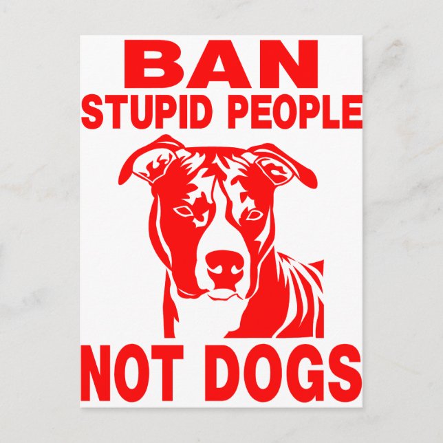 PITBULL VYKORT (Framsida)