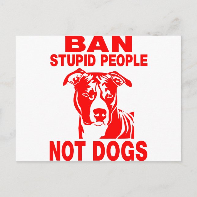 PITBULL VYKORT (Framsida)