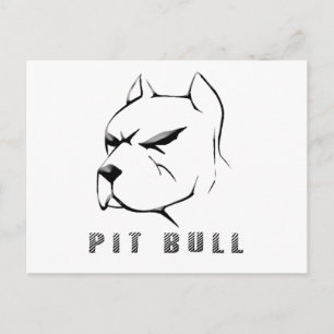 Pitbull Vykort