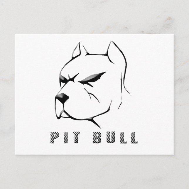 Pitbull Vykort (Framsida)