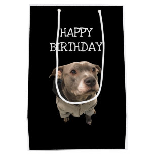 Pitbull Wearing Hoodie Gift Bag