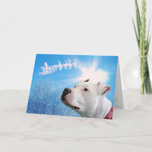 Pitbull White Hund - julafton Helgkort