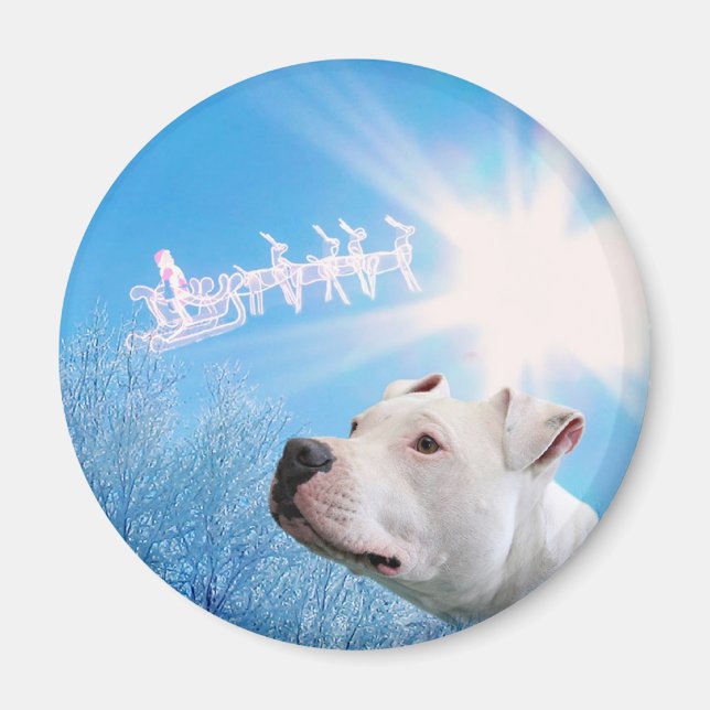 PItbull White Hund - julafton Magnet (Framsidan)