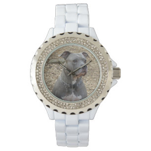 Pitbull Women's Watch Armbandsur