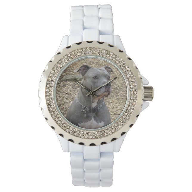 Pitbull Women's Watch Armbandsur (Framsida)