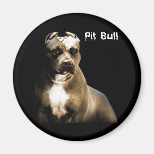 PITbullen Magnet