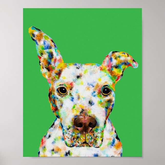 Pitbullkonstaffisch Poster (Framsidan)