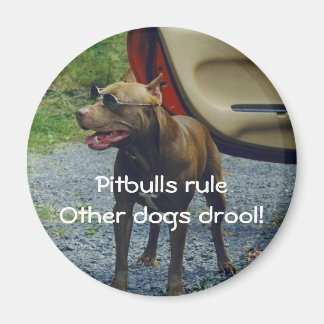 Pitbullregel Magnet