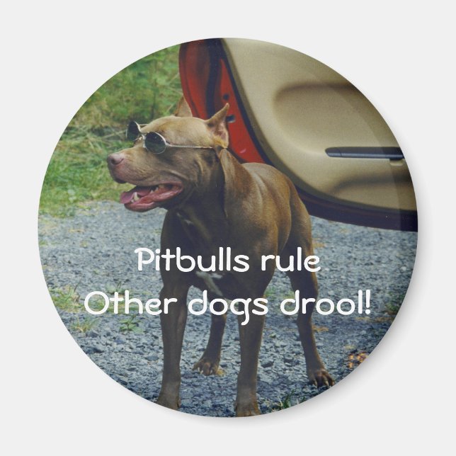 Pitbullregel Magnet (Framsidan)