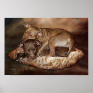 Pitbulls - den mer mjuka poster