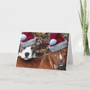 Pitbulls Jul Titta på hälsningskort Helgkort