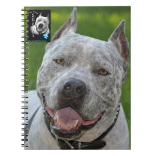 @PitBullSharky anteckningsbok! Lyckligt ansikte Anteckningsbok Med Spiral