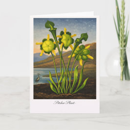 Pitcher Plant — Modern Botanical Reinterpretation Kort