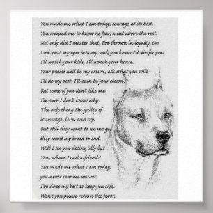 pitpoem poster