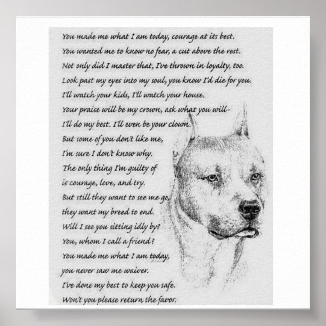 pitpoem poster (Framsidan)