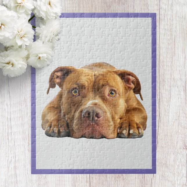 Pittbull Pussel (Skapare uppladdad)