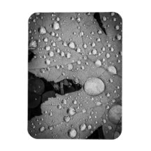 Pitter Patter - 3 tum x 4 tum Flexibel fotomagnet