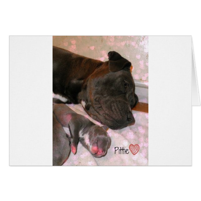 Pittie Kärlek Hälsningskort (Framsidan Horizontal)