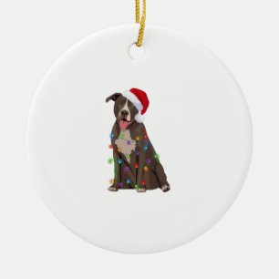 Pittie Pitbull jul Ljus Julafton Hund älskare Julgransprydnad Keramik