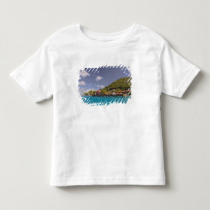 Pittoresk utsikt över Bitter End Yacht Club Virgin Tee