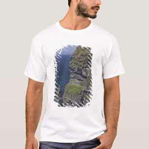 Pittoreska klippor vid Moher och O'Briens torn Tröja