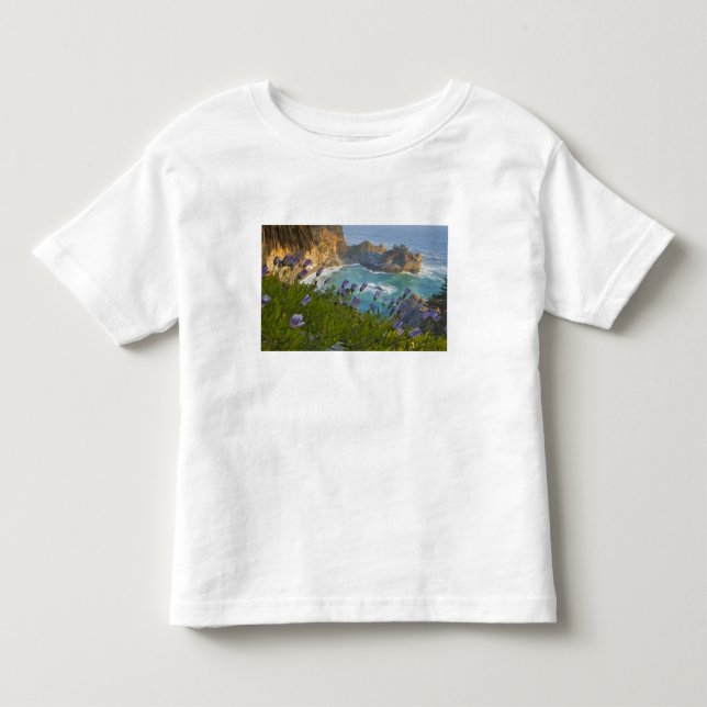 Pittoreska McWay Falls forsar ner på stranden och T-shirt (Framsida)