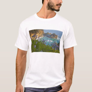 Pittoreska McWay Falls störtar ner på stranden och T-shirt
