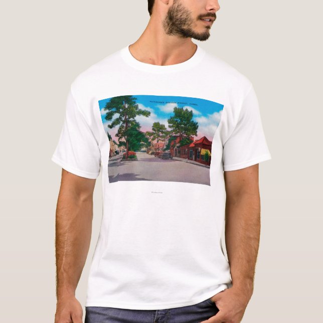 Pittoreskt affärsområde, Carmel Tee (Framsida)