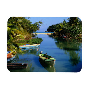 Pittoreskt flod nära Ocho Rios på Jamaica Magnet