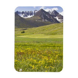 Pittoreskt landskap i Svarfadardalur-dalen Magnet