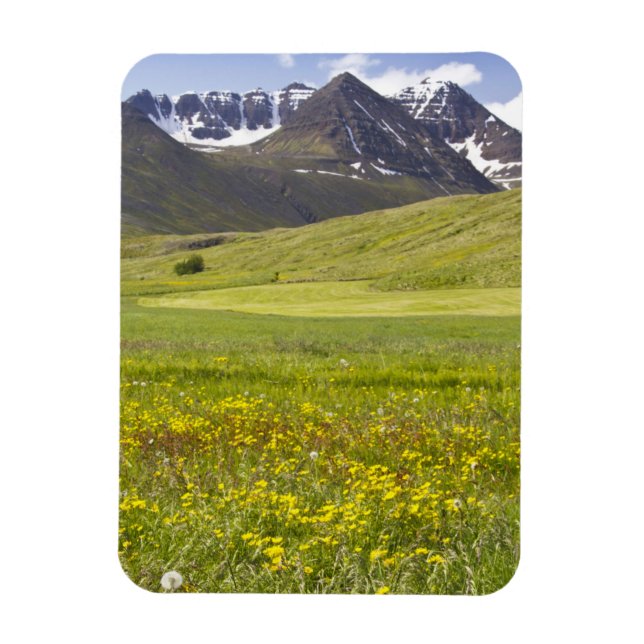 Pittoreskt landskap i Svarfadardalur-dalen Magnet (Vertikal)