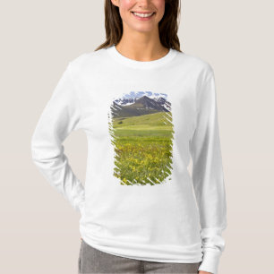 Pittoreskt landskap i Svarfadardalur dalen Tee Shirt