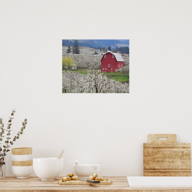 Pittoreskt rött lada och päronblommor poster (Kök)