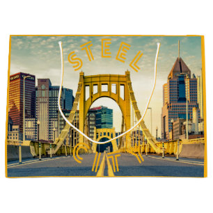 Pittsburgh Steel City Skyline Bridge Pennsylvania