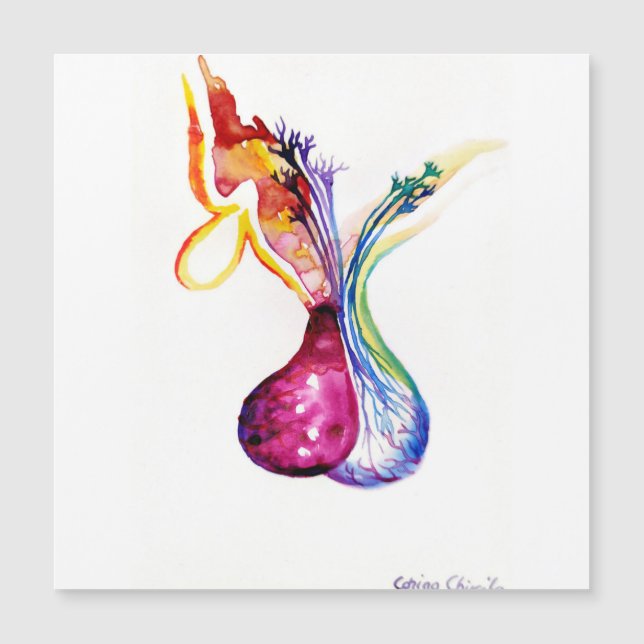 Pituitär struktur (Framsida)