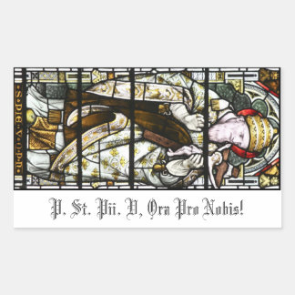 Pius V-dekal (för ljus ventilation) Rektangulärt Klistermärke