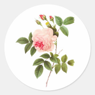 PixDezine vintage victorian ro/redoute Runt Klistermärke