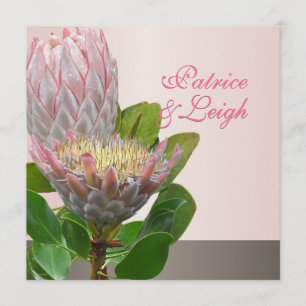 PixDezines färska maui-protea-blek rosa/diy Inbjudningar