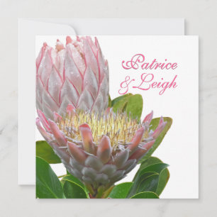 PixDezines färska maui-protea-blek rosa/diy Inbjudningar