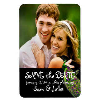 PixDezines-fotodatum för spara/DIY färg+typsnitt Magnet